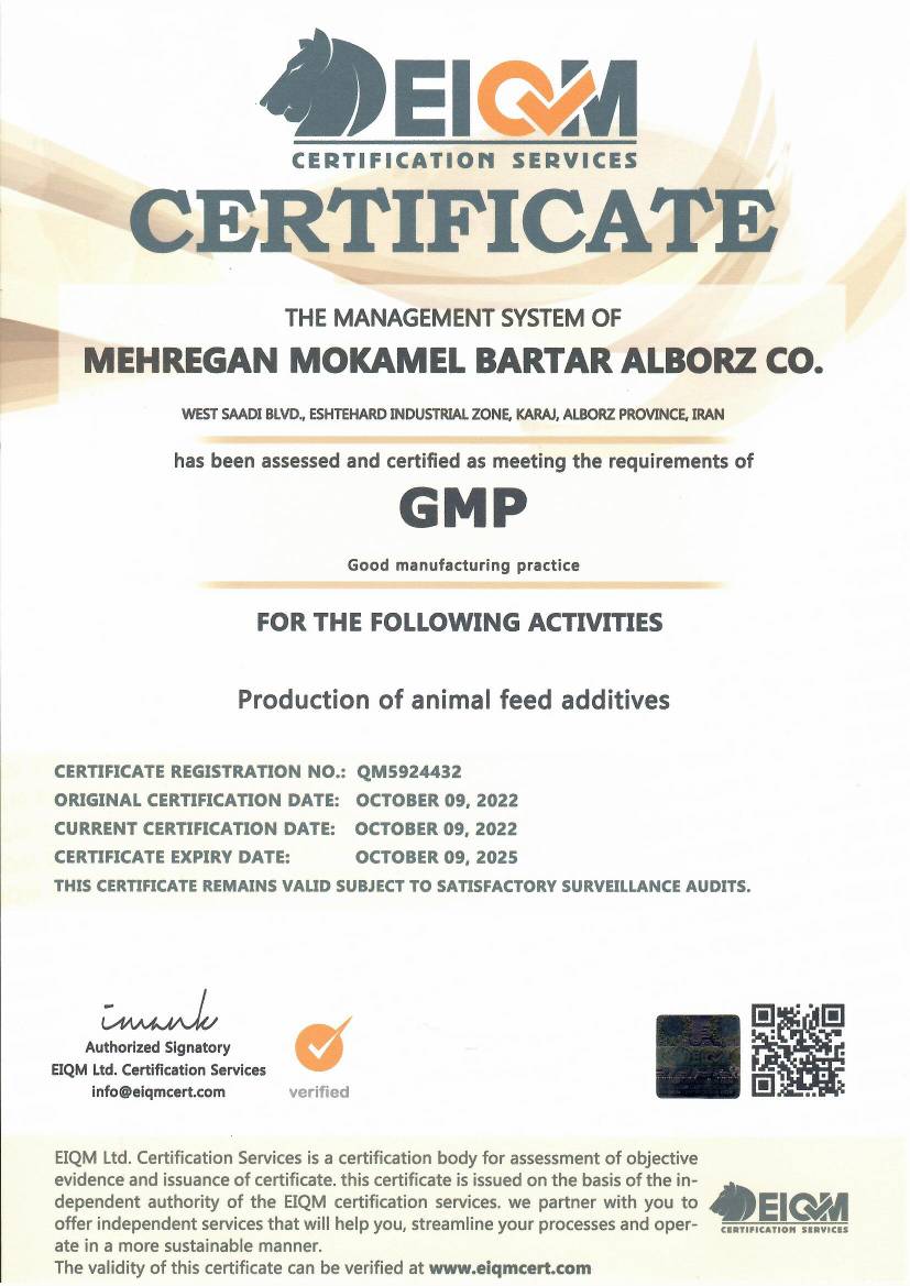 iso GMP